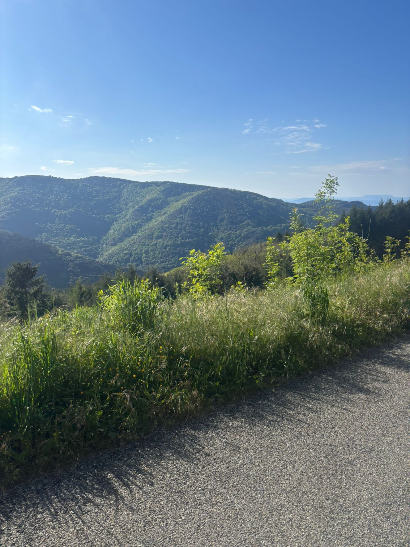 PIC de NORE 8 .Mai.2025