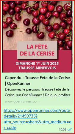 Capture d ecran 2025 05 28 100732